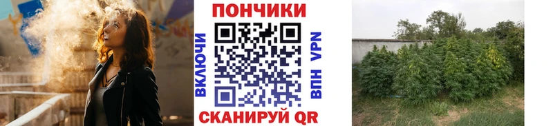 Что такое Североморск ГАШ  КОКАИН  APVP  Конопля  Меф мяу мяу 