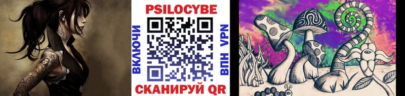 Галлюциногенные грибы Psilocybine cubensis Североморск