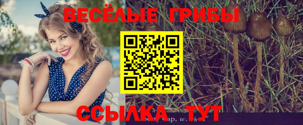 Галлюциногенные грибы Cubensis Североморск