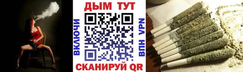 где найти наркотики  Североморск  Канабис сатива 